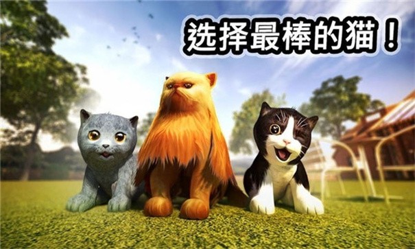 迷你小猫城市生存