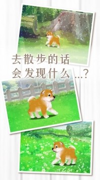 养育柴犬的治愈游戏ios版