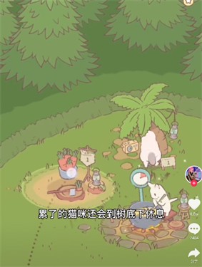 猫汤抖音版