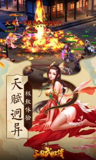 三国武姬传