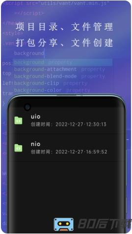 Web编程app