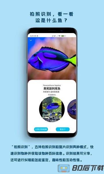 中科看鱼app