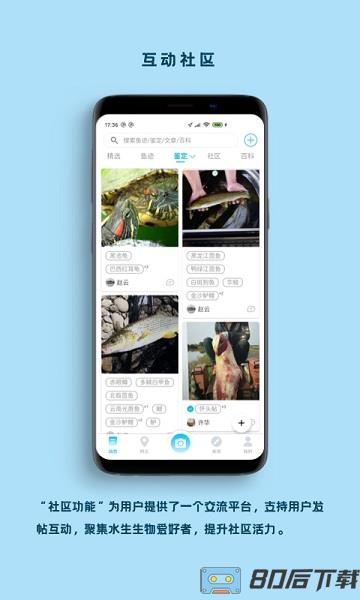 中科看鱼app