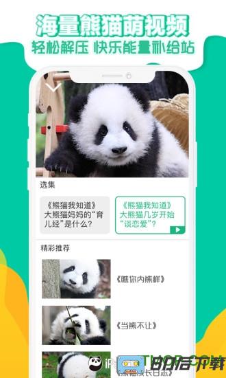 熊猫频道app