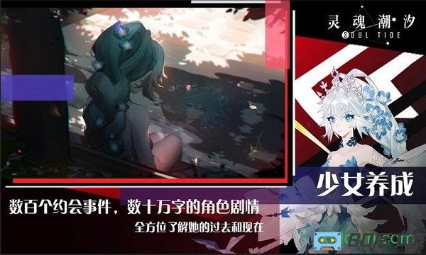 灵魂潮汐官方版