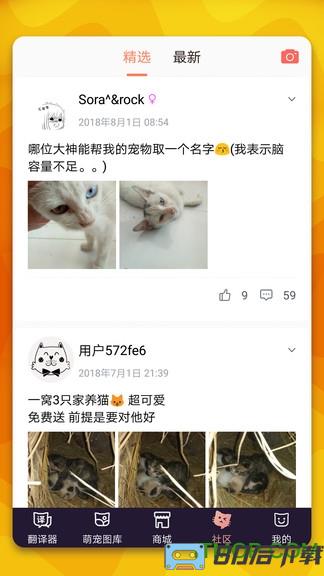 猫语翻译器中文版