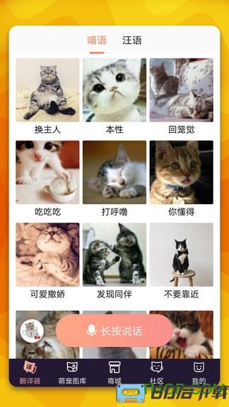 猫语翻译器中文版