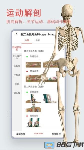 3D运动健康官方最新版