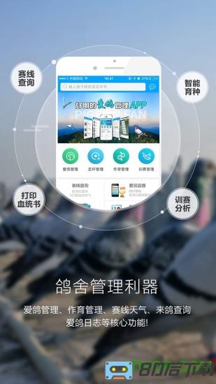 爱鸽者app